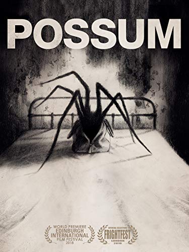 possum