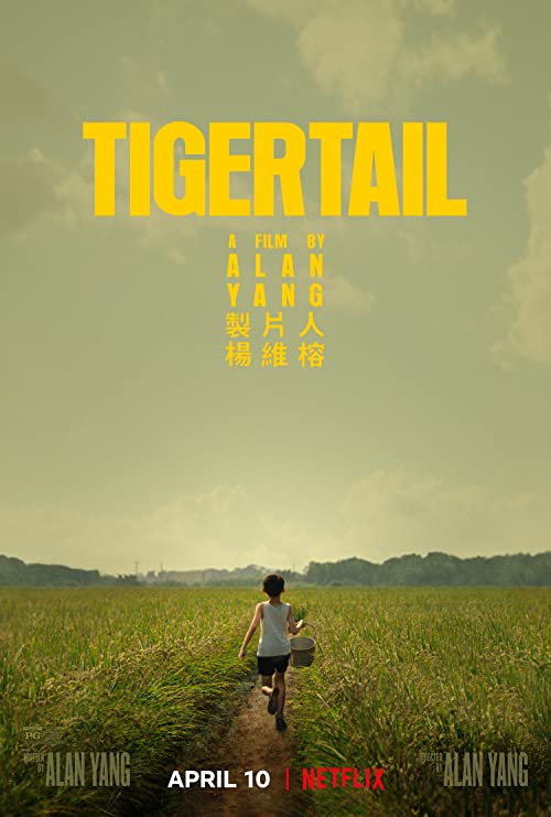 دانلود فیلم Tigertail 2020 با زیرنویس فارسی چسبیده