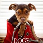 دانلود فیلم A Dogs Way Home 2019 با زیرنویس فارسی چسبیده