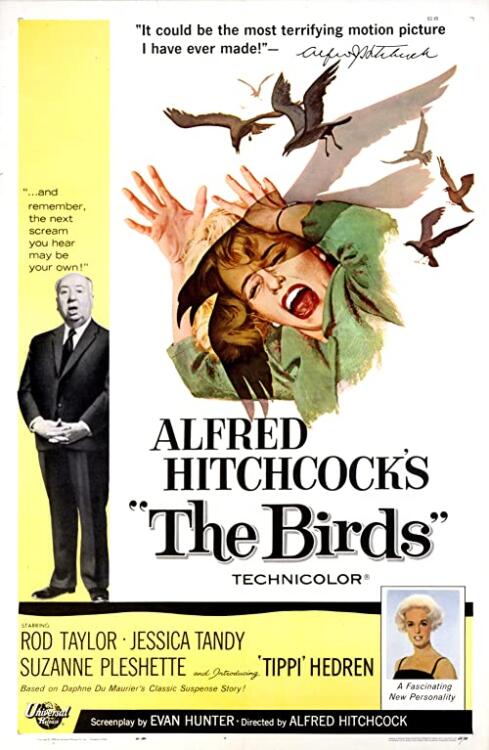 دانلود فیلم The Birds 1963 با زیرنویس فارسی چسبیده