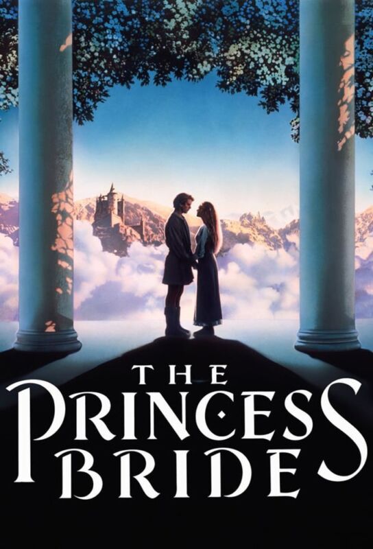 دانلود فیلم The Princess Bride 1987 با زیرنویس فارسی چسبیده