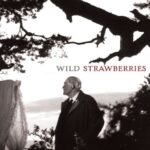 دانلود فیلم Wild Strawberries 1957 با زیرنویس فارسی چسبیده