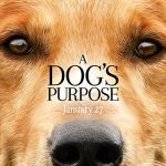 دانلود فیلم A Dog's Purpose 2017 با زیرنویس فارسی چسبیده