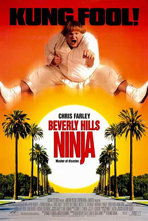 دانلود فیلم Beverly Hills Ninja 1997 با زیرنویس فارسی چسبیده