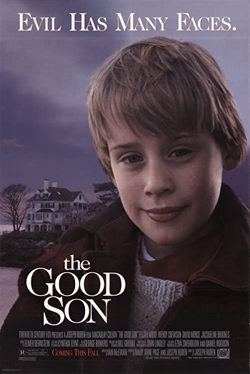 دانلود فیلم The Good Son 1993 با زیرنویس فارسی چسبیده
