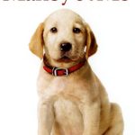 دانلود فیلم Marley and Me 2008 با زیرنویس فارسی چسبیده