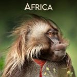 دانلود مستند Africa با زیرنویس فارسی چسبیده