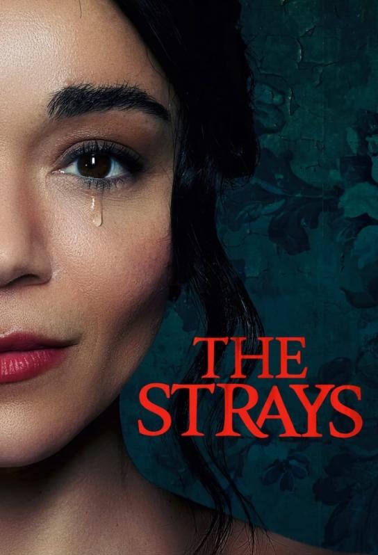 دانلود فیلم The Strays 2023 با زیرنویس فارسی چسبیده