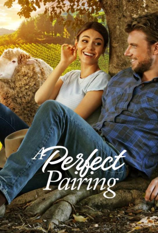 دانلود فیلم A Perfect Pairing 2022 با زیرنویس فارسی چسبیده