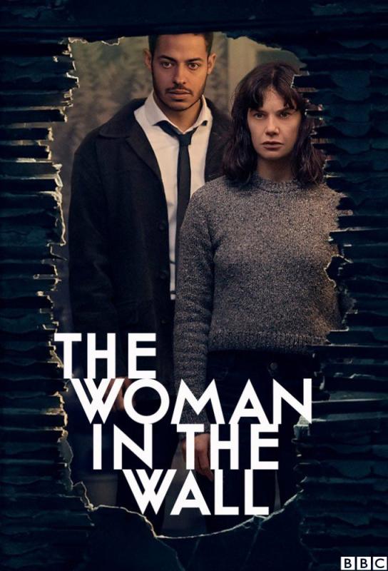 دانلود سریال The Woman in the Wall با زیرنویس فارسی چسبیده