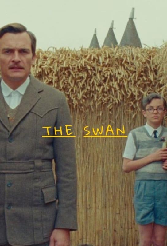 دانلود فیلم The Swan 2023 با زیرنویس فارسی چسبیده