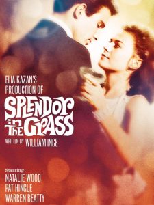 دانلود فیلم Splendor in the Grass 1961 با زیرنویس فارسی چسبیده