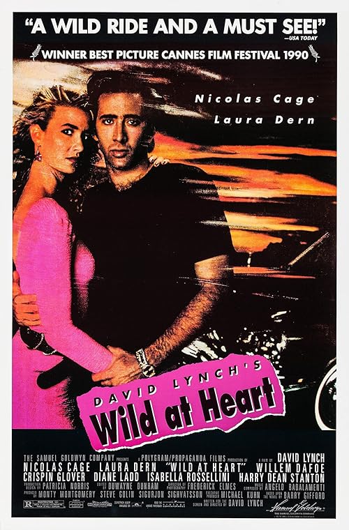 دانلود فیلم Wild at Heart 1990 با زیرنویس فارسی چسبیده