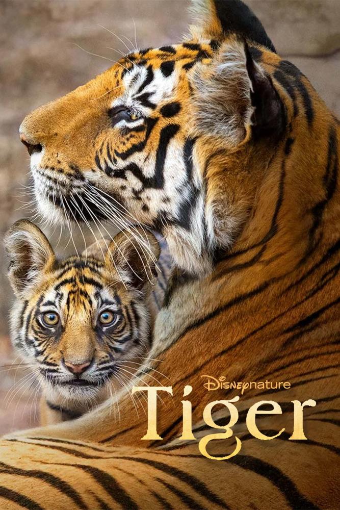 دانلود مستند Tiger 2024 با زیرنویس فارسی چسبیده