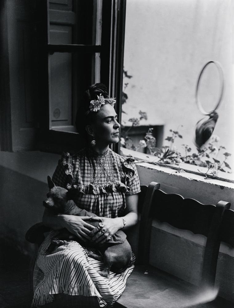 César Martínez
