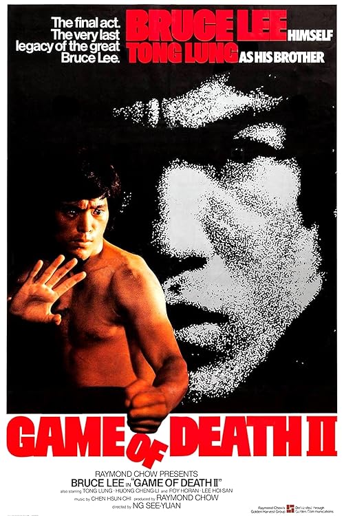 دانلود فیلم Game of Death II 1981 با زیرنویس فارسی چسبیده