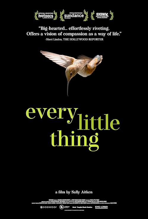 دانلود مستند Every Little Thing 2024 با زیرنویس فارسی چسبیده