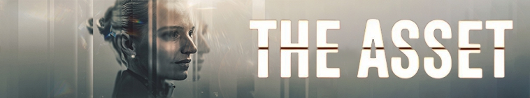 The Asset