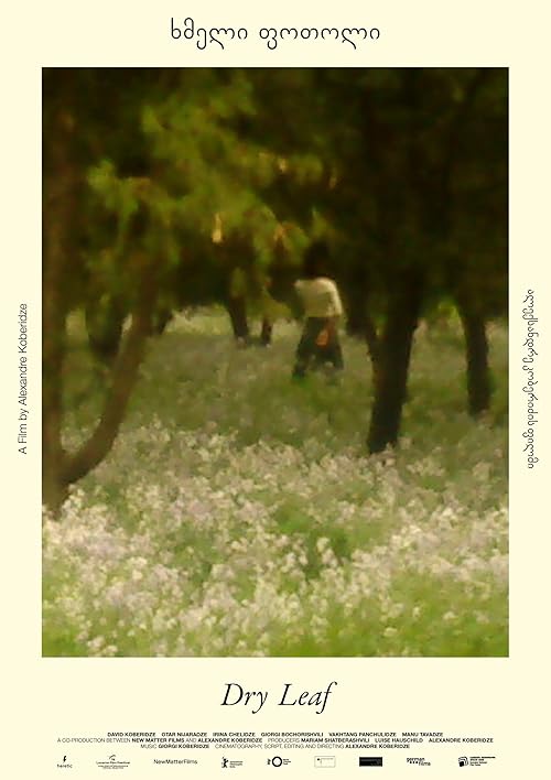 دانلود فیلم Dry Leaf 2025 با زیرنویس فارسی چسبیده