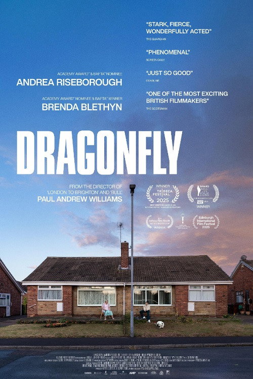 دانلود فیلم Dragonfly 2025 با زیرنویس فارسی چسبیده